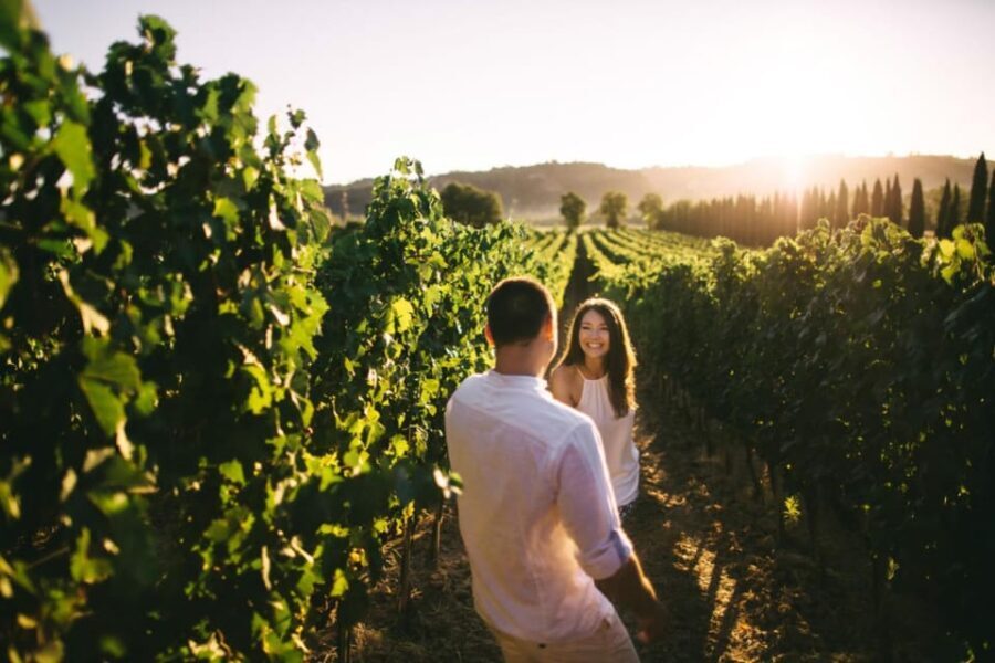 Stancija Collis: A Winery adventure in Rovinj - Authentic Experiences and Why They Matter
