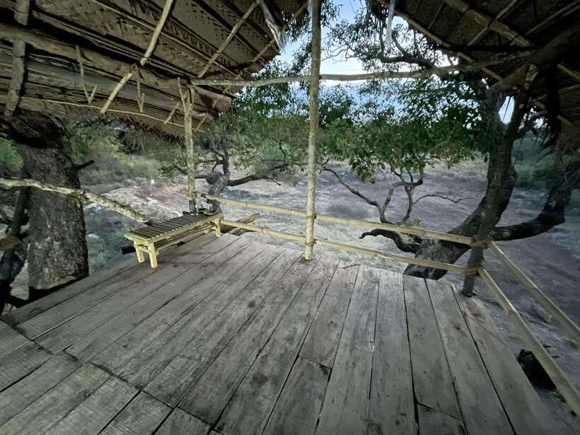 Starlit Escape: Stargazing from a tree hut in Sigiriya - What to Expect: The Itinerary and Experience