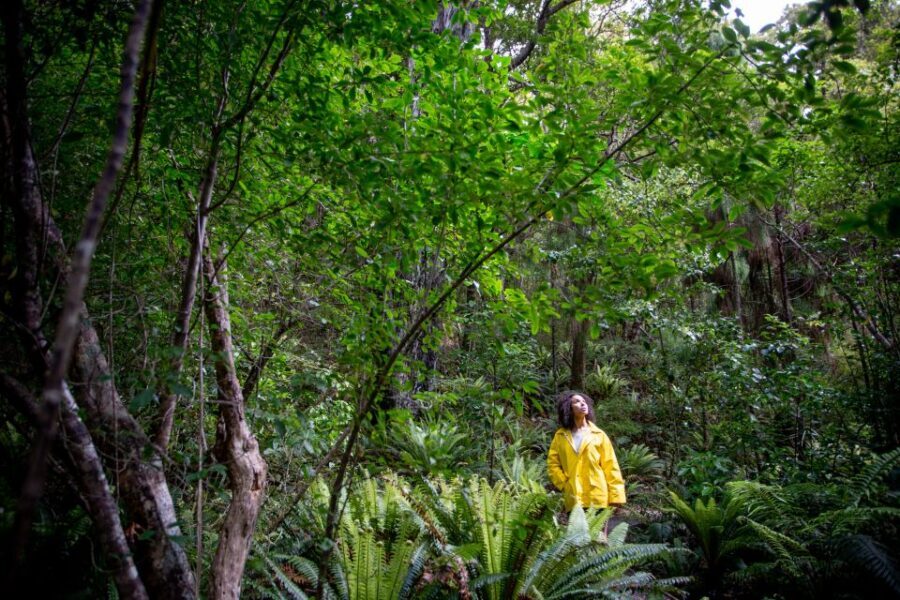Stewart Island: Ulva Island Guided Wilderness Walk & Cruise - Discovering Stewart Island from the Water and Land