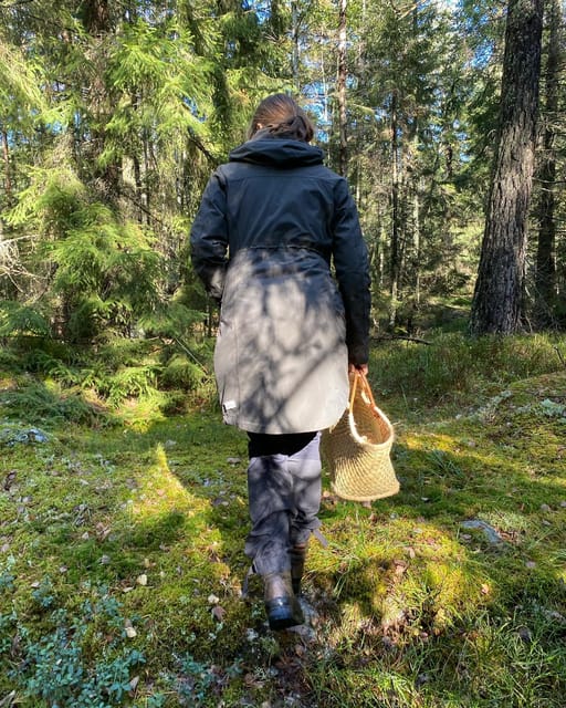 Stockholm, Mushroom and Wild Plant Foraging Tour with expert - Why This Tour Offers Great Value
