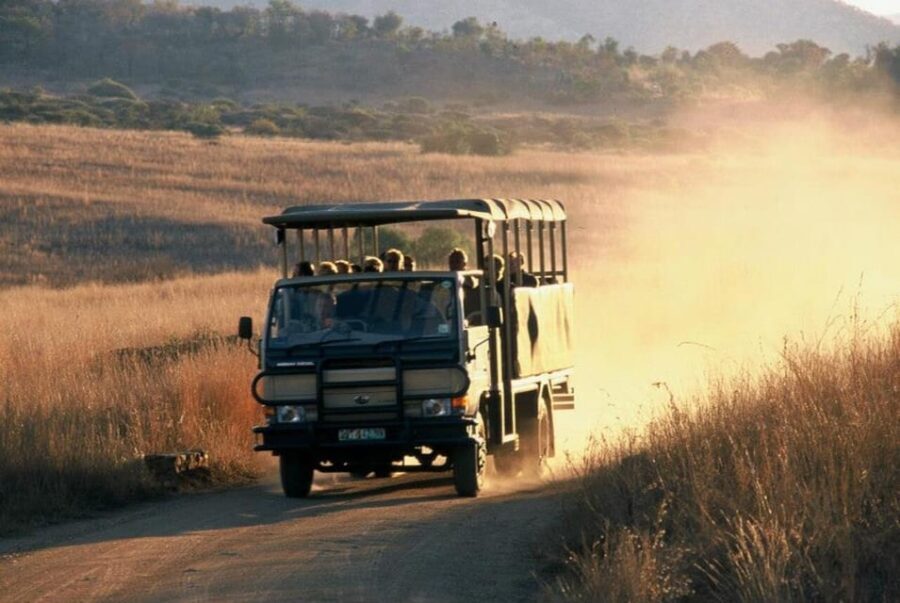 Sun City: 6H Game Drive with Lunch - What to Expect on Your Safari Day