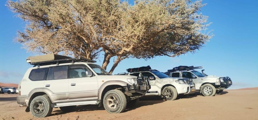 swakopmund city tour dune 7 pink lake pink flamingos - Real Traveler Experiences