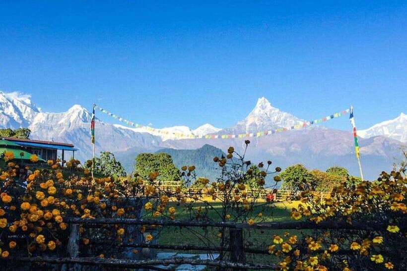 Sweet and Memorable 4 Day Poon Hill Trek - A Detailed Look at the 4-Day Poon Hill Trek
