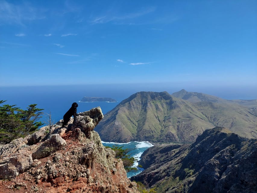 Tailored Trek: Your adventure, Your Way - Why You’ll Love the Tailored Trek on Porto Santo