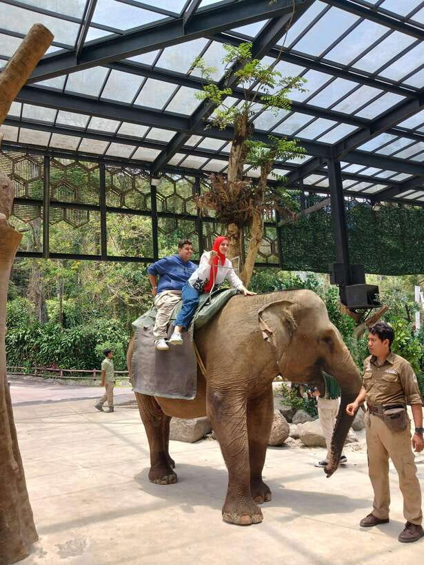 Taman Safari and Tea Plantation Tour at Puncak - Who Will Love This Tour?
