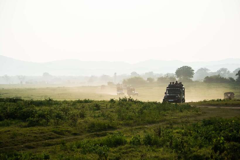 Tangalle/Hiriketiya: Yala National Park Safari in a 4x4 - Who Will Enjoy This Safari?