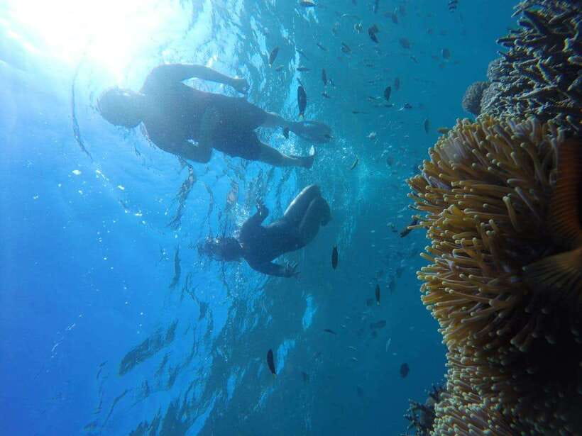 Tangsi Beach, Gili Gambir and Gili Petelu Snorkeling trip - Itinerary Breakdown: What to Expect