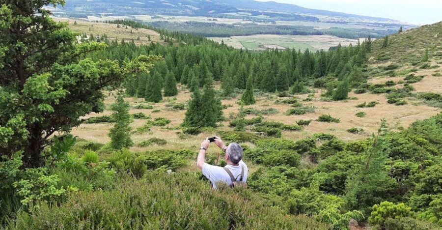 Terceira Island : Hiking Trail Rocha do Chambre - Who Will Love This Tour?