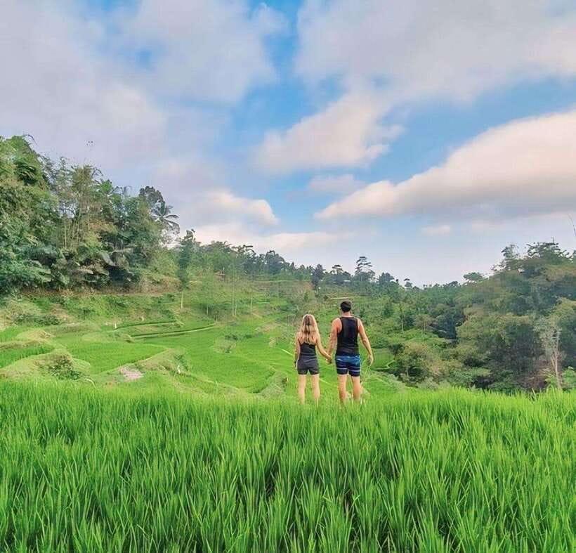 Tetebatu : Waterfall, Rice Fields & Monkey Forest Full day - Detailed Breakdown of the Itinerary