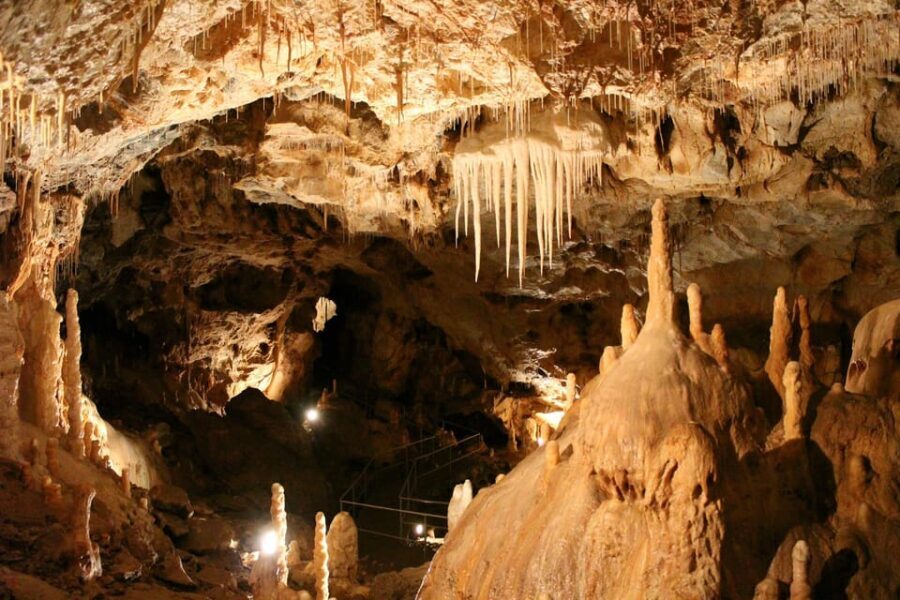 The Bear's cave: 1 day airconditioned car tour from Oradea - What You Can Expect from the Itinerary