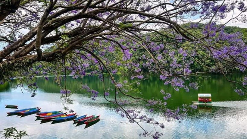 The Best of Pokhara: Full-Day Private Tour with Sarangkot - Why This Tour Works for Travelers