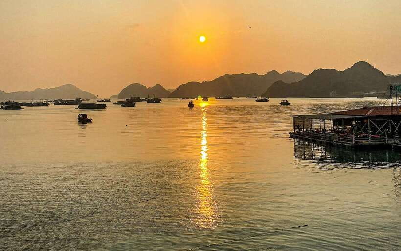 The Newest and Most Luxurious Cruise on the Bay-Day Trip - Activities and Highlights