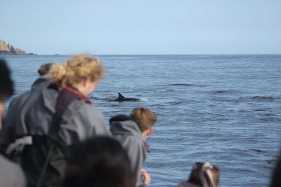 The North Coast Boat Trip Experience - The Itinerary Breakdown