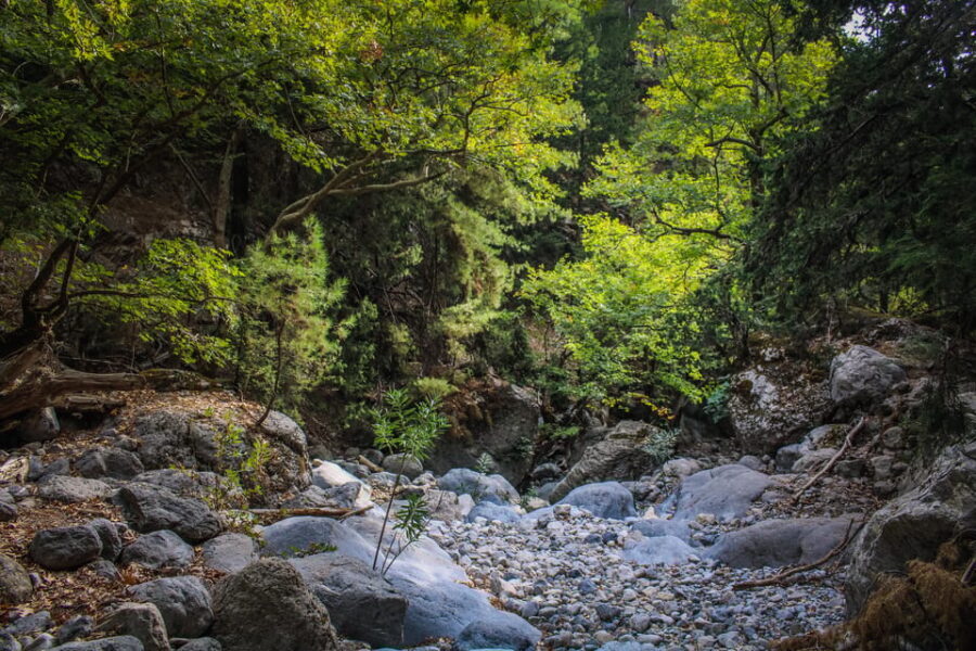 The Unique Tour of Samaria Gorge - The Highlights Along the Route