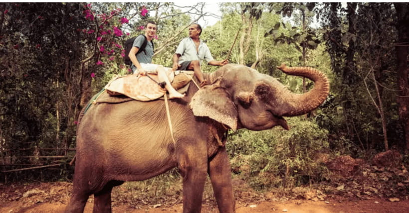TheActivity that won the Best Tourist Attraction in SriLanka - Final Thoughts: Who Will Love This Tour?