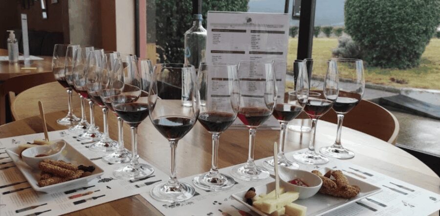 Thessaloniki: Naousa Wine Region Private Day Tour - Who This Tour Is Best For