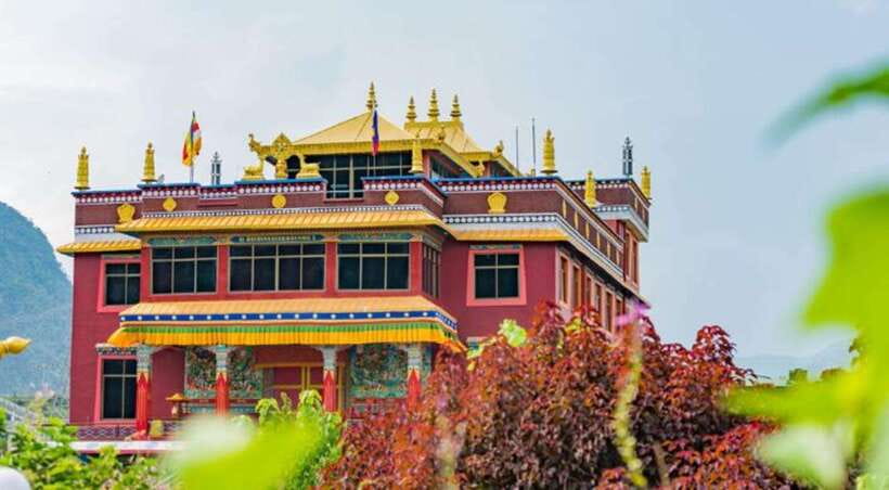 Tibetan Cultural Day Tour Pokhara 2025/2026 - Why Consider This Tour?