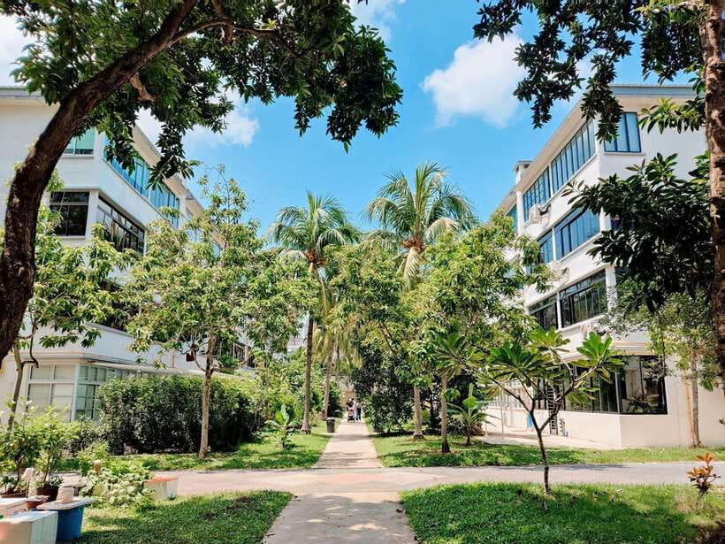 Tiong Bahru: Explore Singapore's Oldest Estate (Mandarin ) - Overall Value and Practical Considerations
