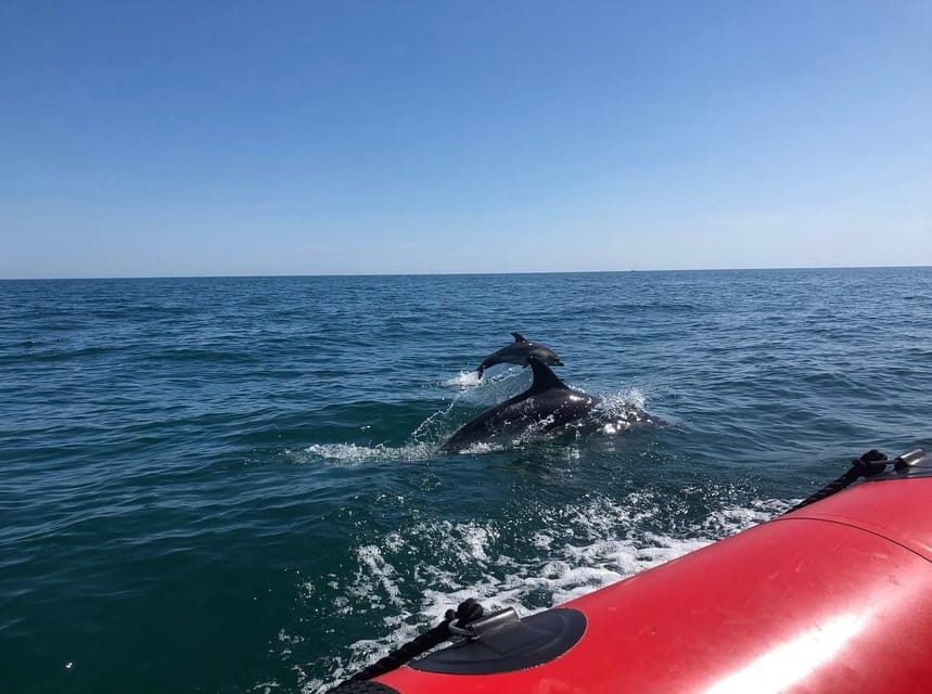 Torquay: 1-Hour Coastal Explorer Boat Trip - Price, Duration, and Value