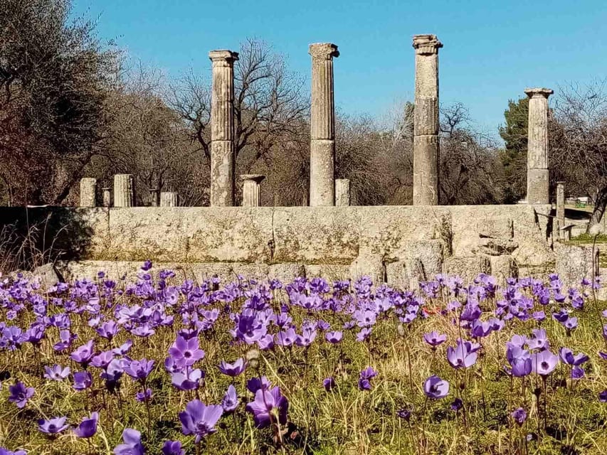 Tour to the archaeological site of Olympia by an archaeologist of Italian descent - Practical Details and Tips