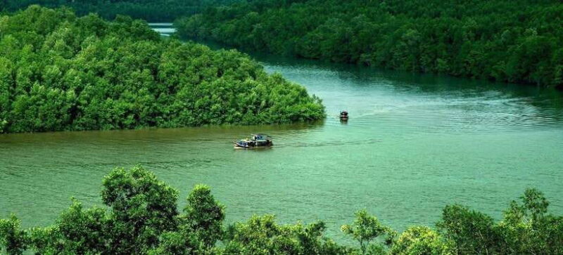TP HCM: EXPLORE CAN GIO MANGROVE AND MONKEY ISLAND - Overview of the Can Gio Tour