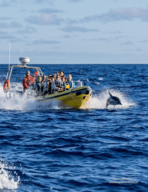 TRIP TO CORVO BY BOAT - Who should consider this trip?