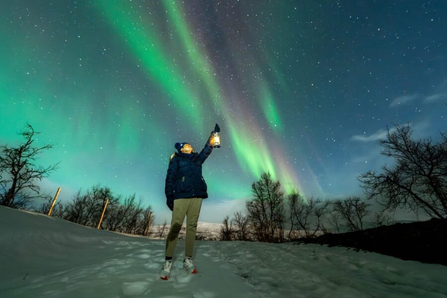 Tromsø: Aurora Borealis, Campfire, Hot Meal, Arctic Tour - What’s Included and What to Consider