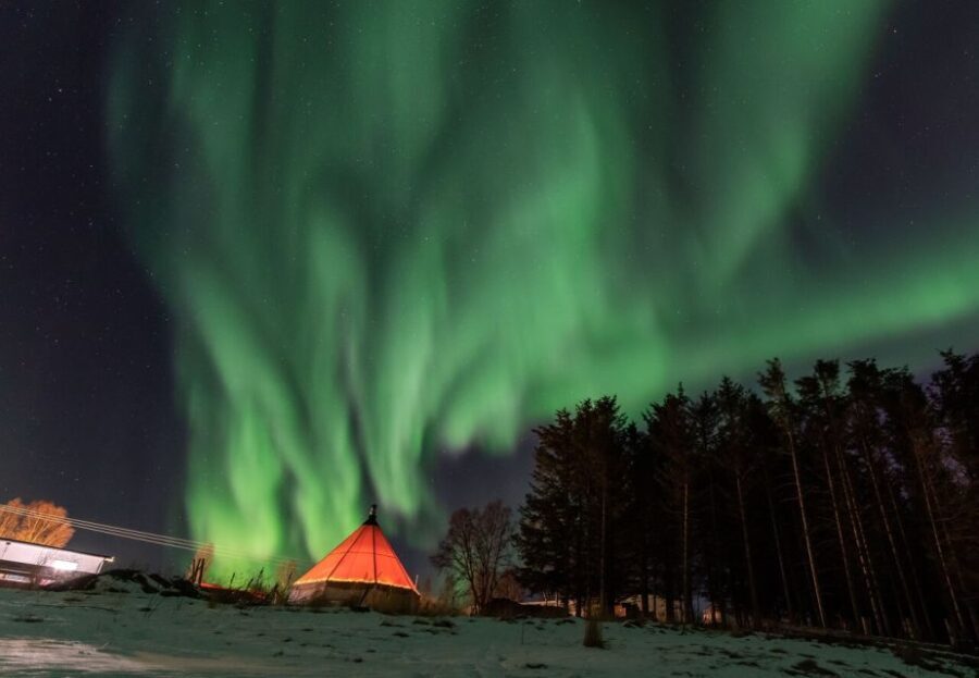 Tromsø: Aurora Safari Chase by big bus with Camp meal - Transportation: Comfort and Convenience