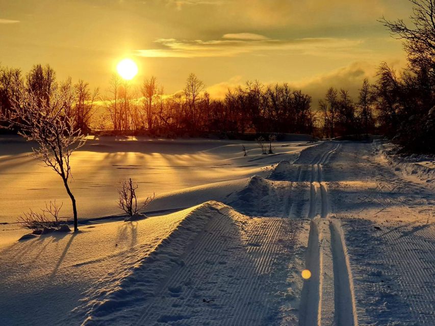 Tromsø: Cross Country Guided Skiing Course - A Deep Dive into the Experience