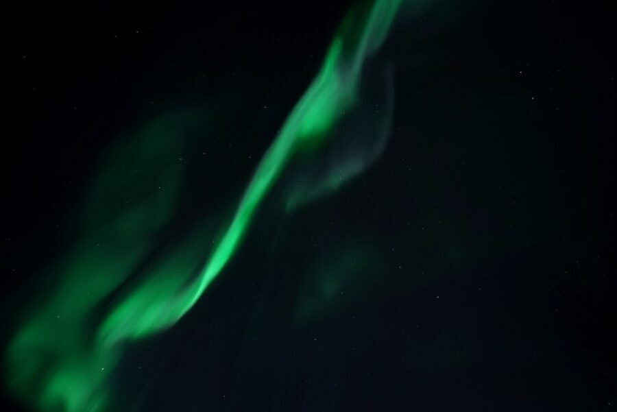 Tromsø: Evening Cruise with Northern Lights Opportunity - What Sets This Tour Apart?  