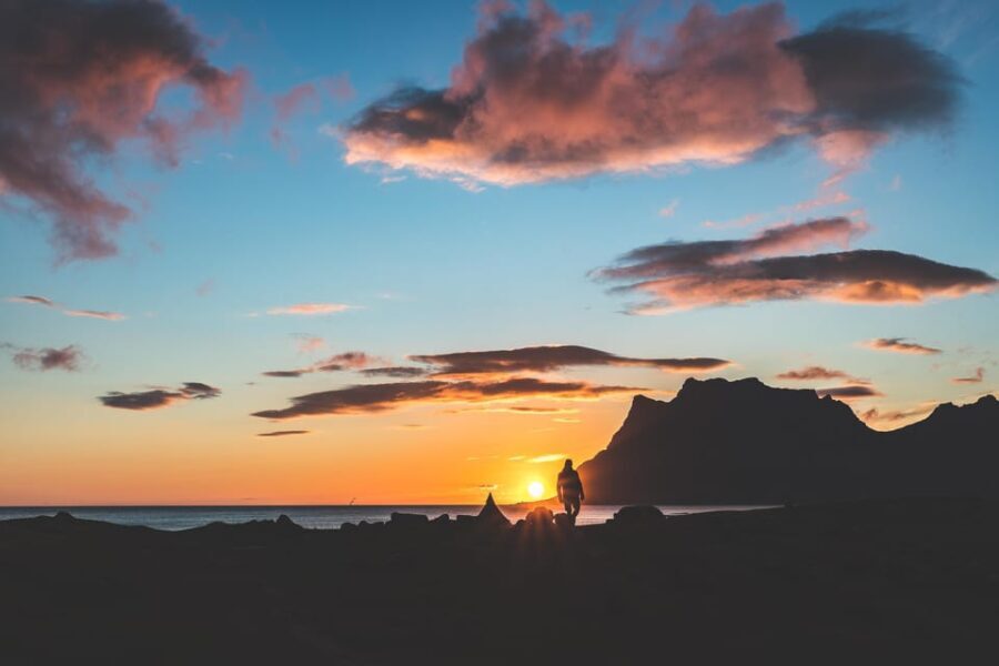 Tromso: Evening guided Fjord Expedition & Kvaløya Island - The Unique Arctic Dinner Experience