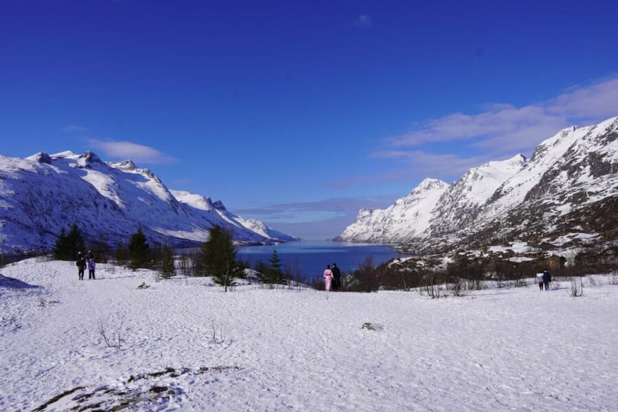 Tromsø: Exclusive Fjord Adventure by Bus - What to Expect During the Tour