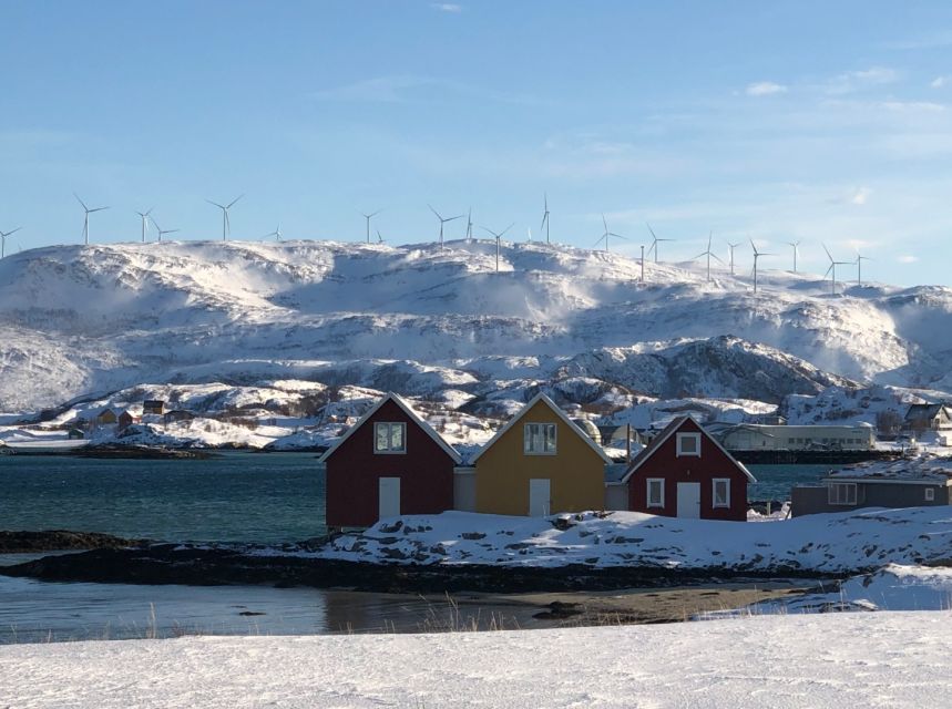 Tromsø: Fjords and Sommarøy Islands Tour with Salmon Picnic - Who Will Enjoy This Tour?