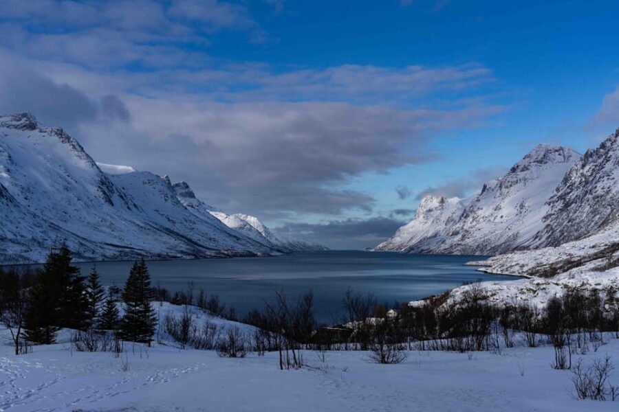 Tromsø: Fjords & Beaches Tour with campfire and photos - The Itinerary Breakdown