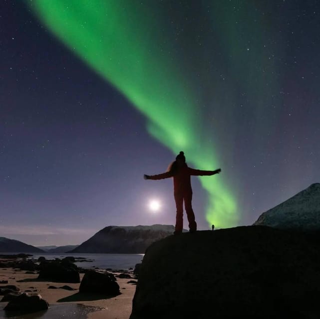 Tromsø: Northern Lights Chase by a comfortable bus - Carefully Selected Viewing Locations
