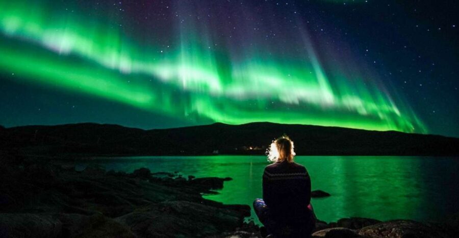 Tromsø: Northern Lights Chase Minibus Tour - The Value of This Northern Lights Tour