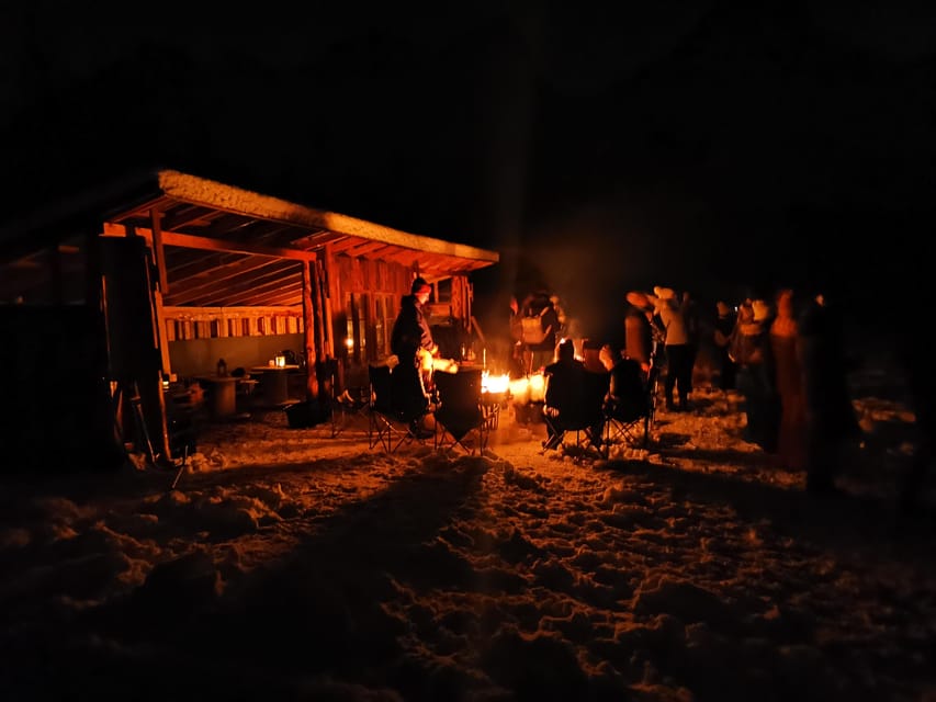 Tromsø: Northern Lights Hunt, private tour - What to Expect on the Day