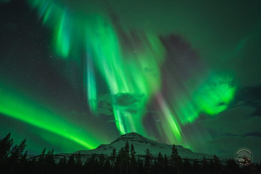 Tromsø: Northern Lights Photography Small-Group Tour - What to Expect From This Tour