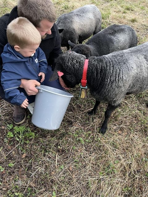 Tromsø: Norwegian farmvisit with guide - The Practicalities: What to Know