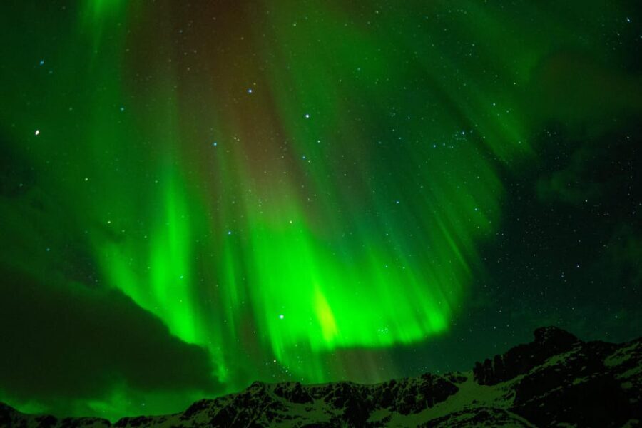 Tromsø: Small-Group Adventurous Northern Lights Hunt - Final Thoughts
