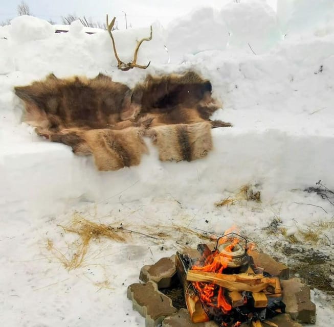 Tromsø: Snow Sledding, Mini Skiing, Lasso and Reindeer Hides - The Itinerary: What to Expect