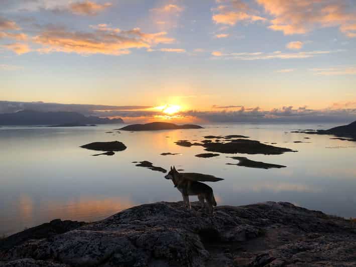 Tromsø: Sommarøy Islands Midnight Sun Tour - Logistical Details and Practical Tips