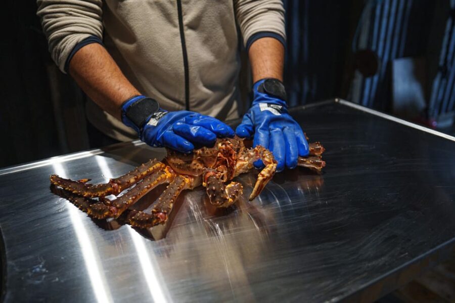 Tromsø: Tasty King Crab Adventure - What Makes This Tour Special?