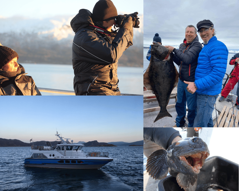 Tromsøs Top-Rated Fjord & Fishing Cruise  All-Inclusive - Making the Most of Your Fjord & Fishing Cruise