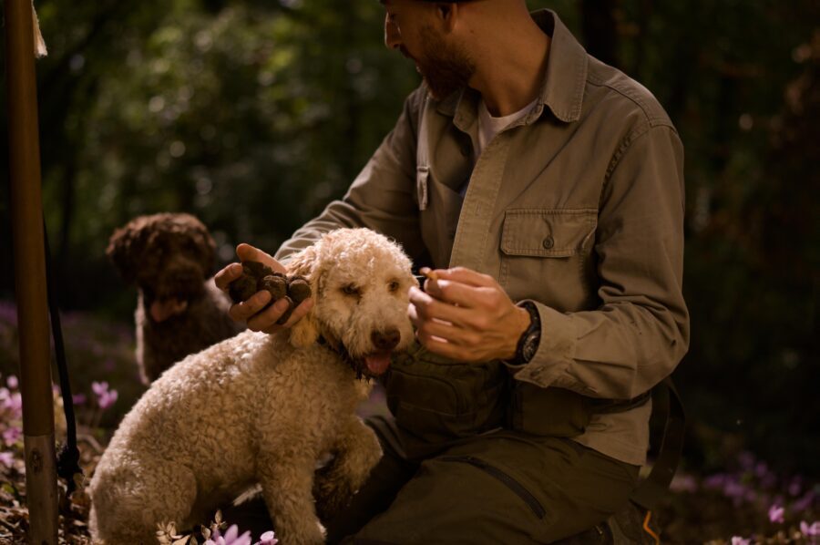 Truffle Hunting, Lunch & Cooking Class in Rome's Countryside - What Makes It Worth the Price?