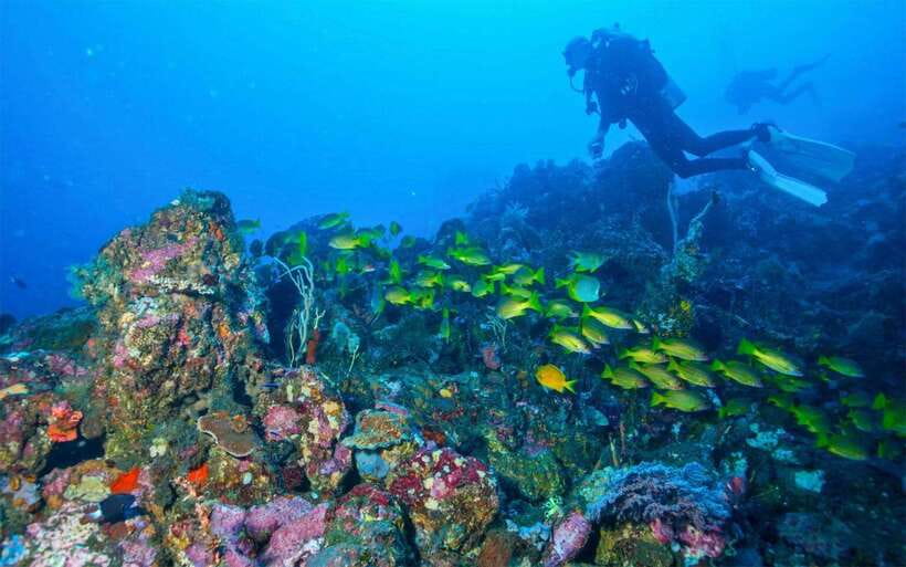 Tulamben: Underwater Paradise Scuba Diving Experience - A Detailed Breakdown of the Itinerary