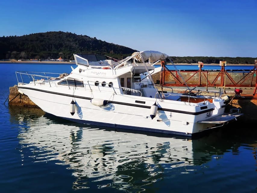 Tuscany: Argentario Coast Boat Excursion with Snorkeling - Value and Price Analysis
