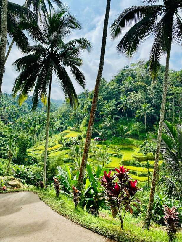 UBUD: atr village, waterfaall, tirta empul, and swing - Is This Tour Worth the Price?