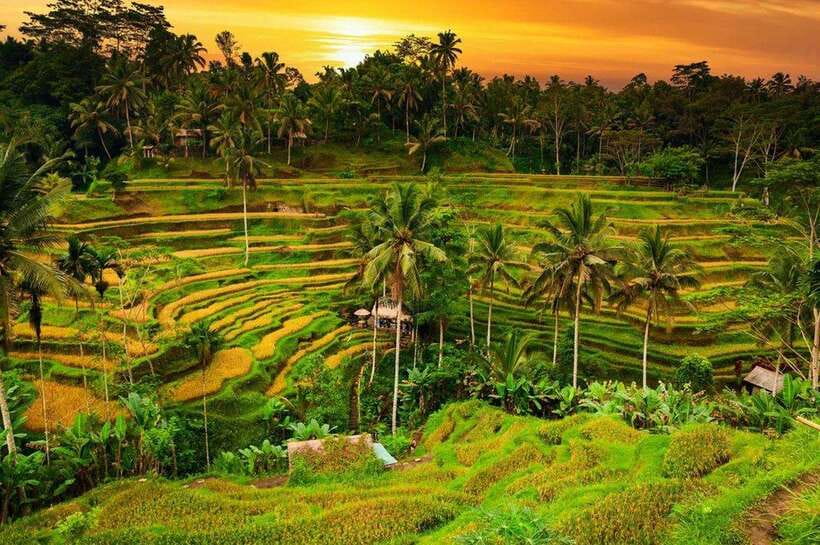 Ubud Bali Tour - Who Should Consider This Tour?