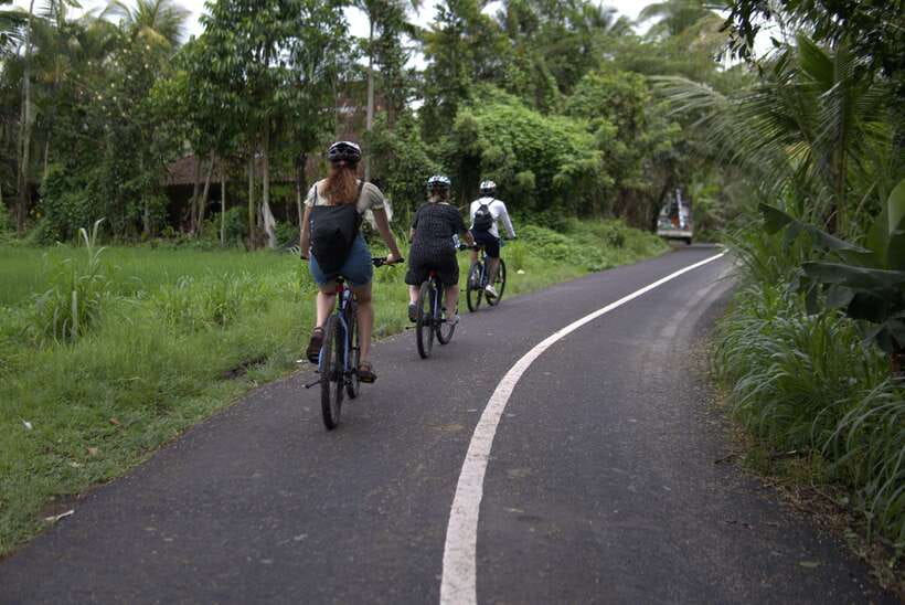 Ubud: E-Bike Tour with Rice Terrace and Village Visit - The Experience: A Step-by-Step Overview